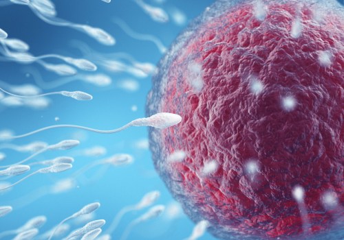 What happens when you suddenly stop taking progesterone?